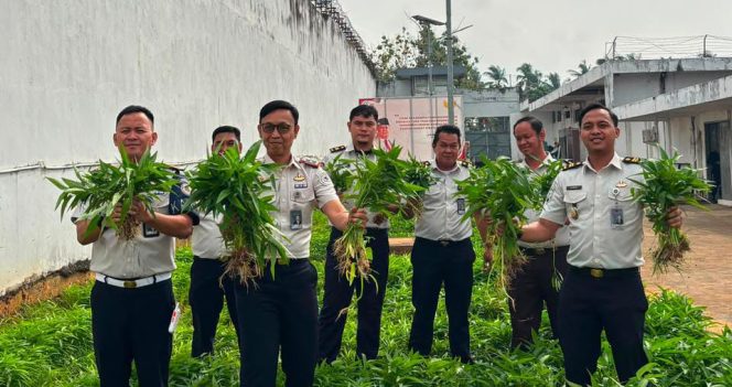 
 Panen Kangkung Capai 72,2 Kilogram, Rutan Kelas I Palembang Perkuat Program Ketahanan Pangan Nasional