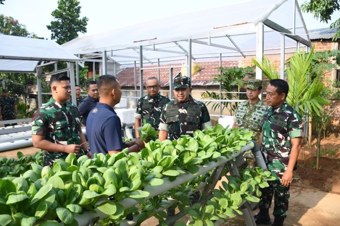 
 Danrem 044/Gapo Panen Hasil Urban Farming Gapo Farm, Wujud Nyata Ketahanan Pangan Berkelanjutan