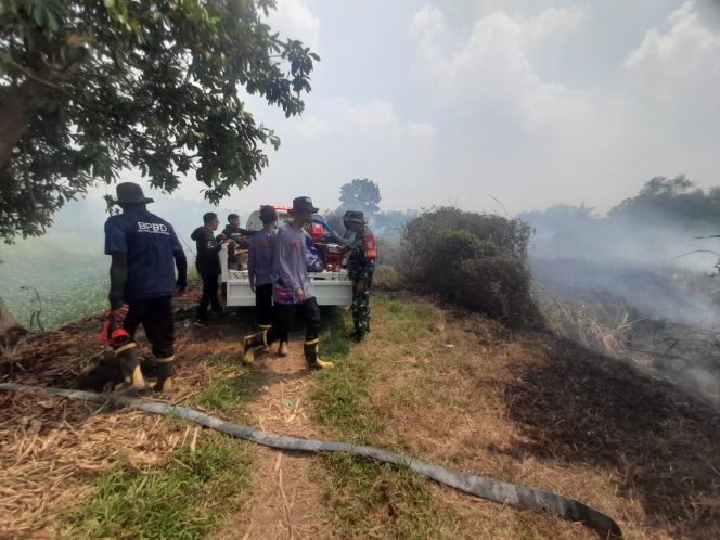 
 Babinsa Bukit Baru Gerak Cepat Monitoring Kebakaran Lahan Gambut, Setengah Hektare Terbakar