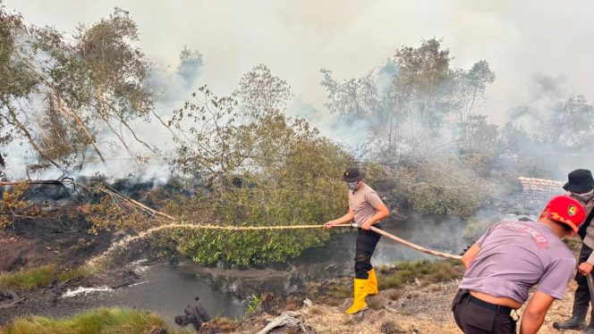 
 Polda Sumsel Gerak Cepat Tangani Karhutla di Teluk Limau Muara Enim