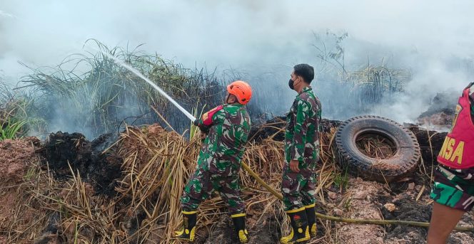 
 Babinsa dan Water Tank Kodim 0418 Bergerak, Kebakaran Lahan 0,5 Hektare di Karya Jaya Berhasil Dipadamkan