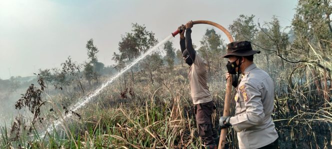 
 Sinergi Personil Gabungan Berhasil Padamkan Kebakaran Lahan 4 Hektar di Pemulutan Ogan Ilir
