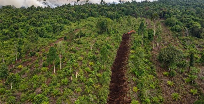 
 Perkuat Pengendalian Karhutla di Muba, PT RHM Bangun Sekat Bakar 890 Meter