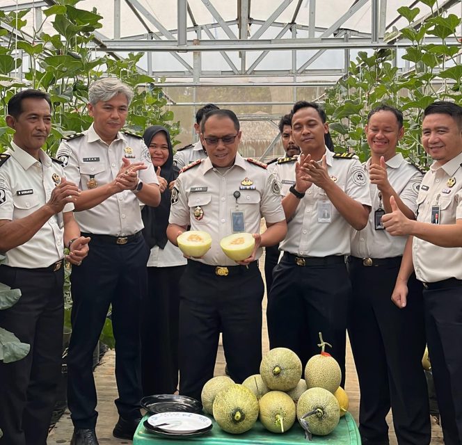 
 Panen Melon di SAE Rutan Palembang, Wujud Pembinaan Kemandirian dan Dukungan Ketahanan Pangan