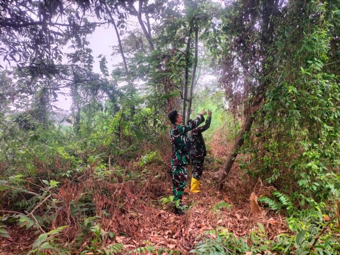 
 Babinsa Koramil 02/Pakjo Patroli Karhutla di Palembang, Tidak Ditemukan Titik Hotspot